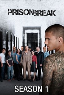 prison break season 3 download torrent